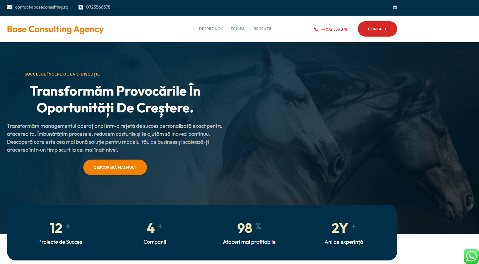 Base Consulting 0df5935b52